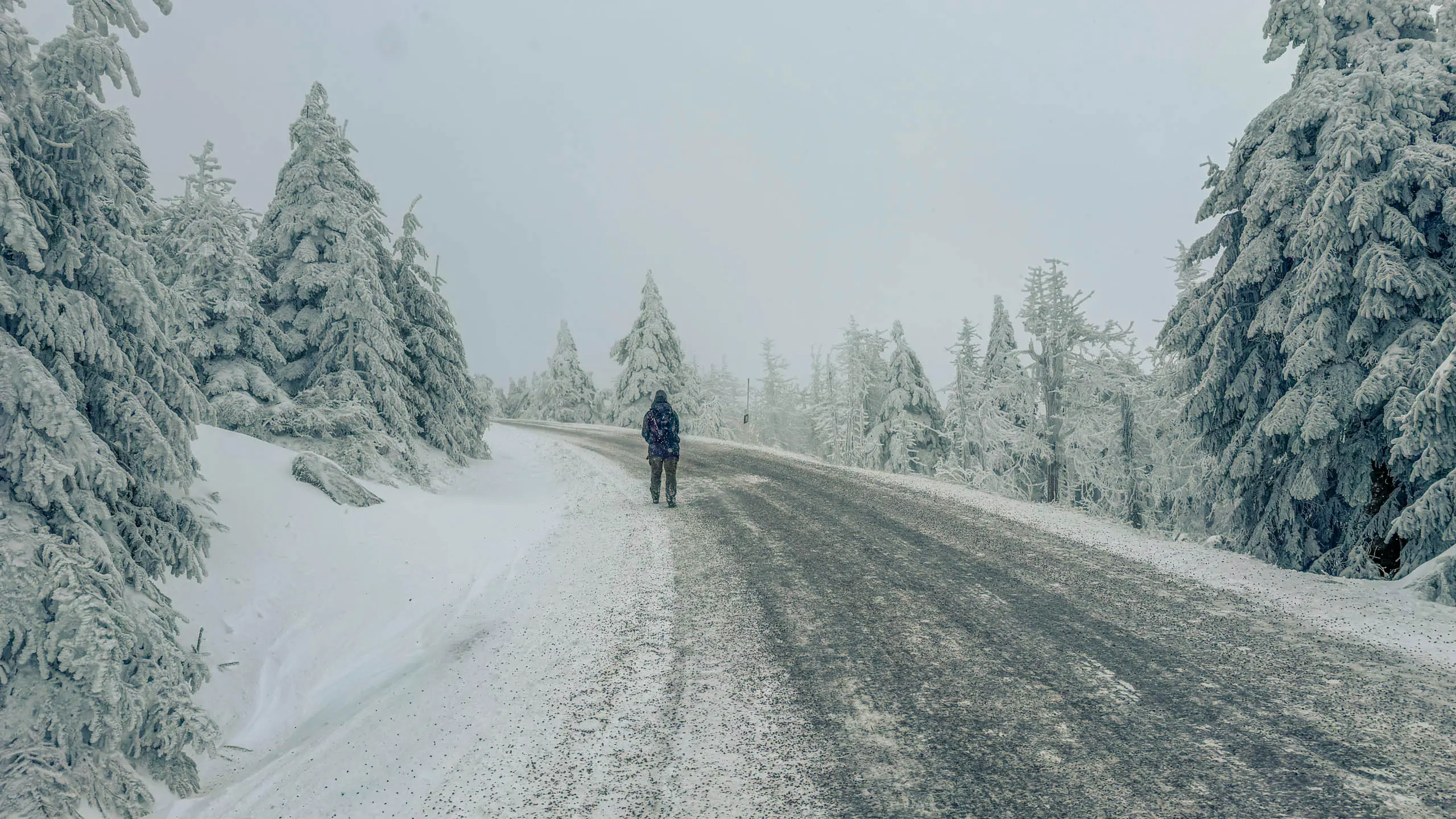 20260103.Harz.Von.Oderbrück.auf.den.Brocken.Bild.38