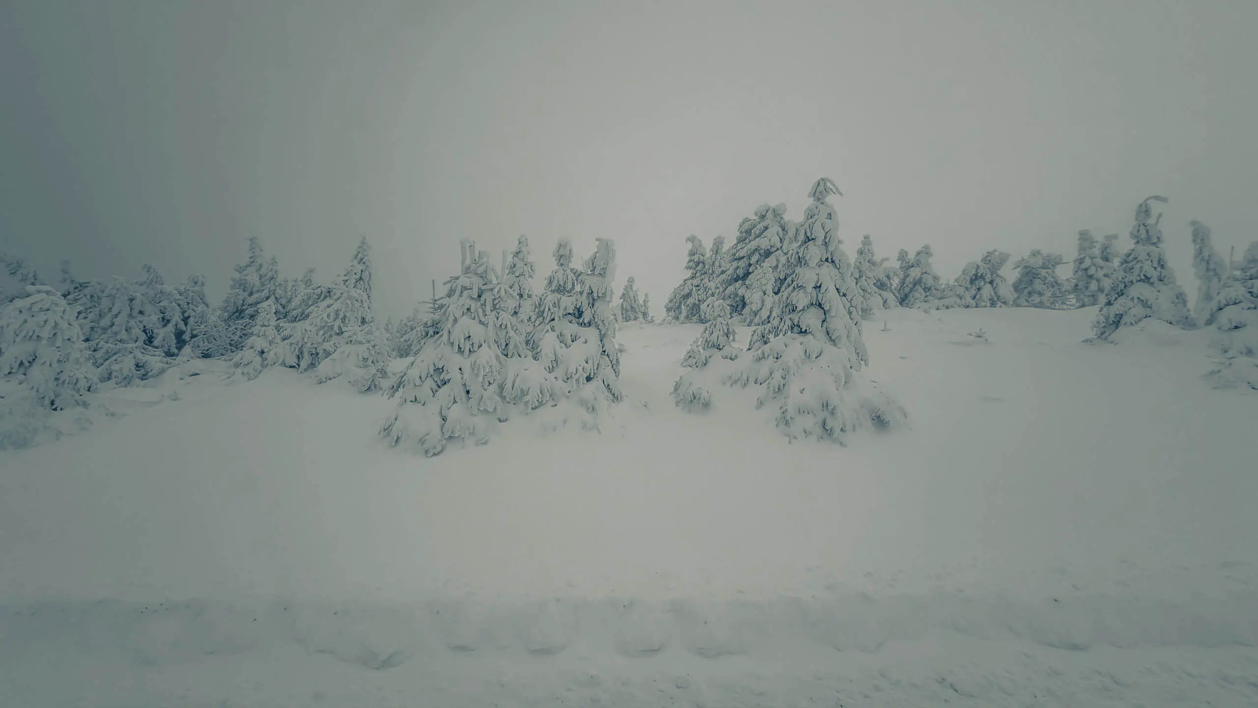 20260103.Harz.Von.Oderbrück.auf.den.Brocken.Bild.40