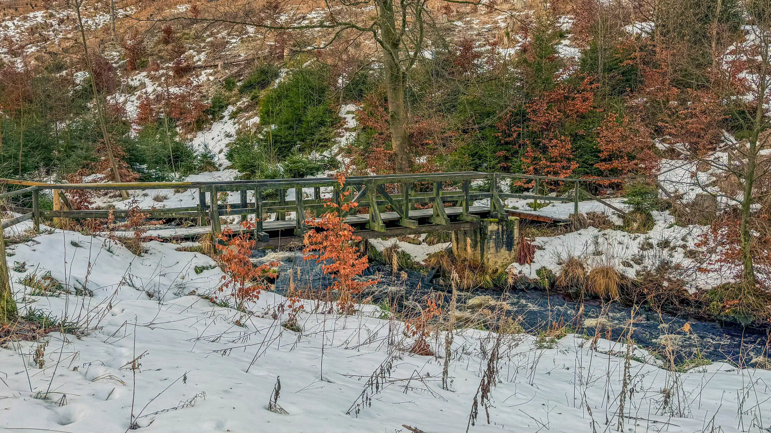20260117.Harz.Bad.Harzburg.und.Umgebung.Bild.13