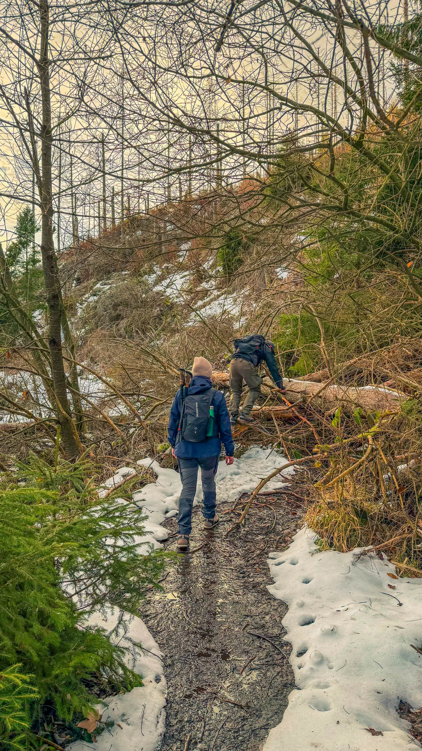 20260117.Harz.Bad.Harzburg.und.Umgebung.Bild.14