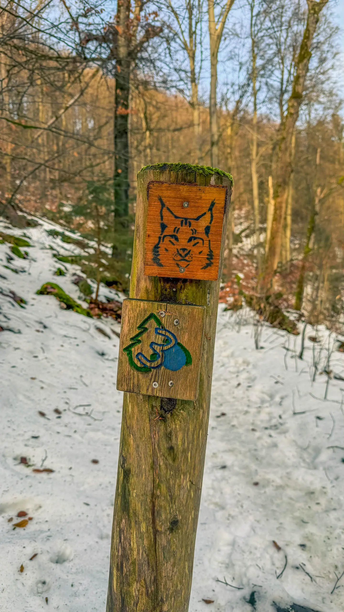 20260117.Harz.Bad.Harzburg.und.Umgebung.Bild.48
