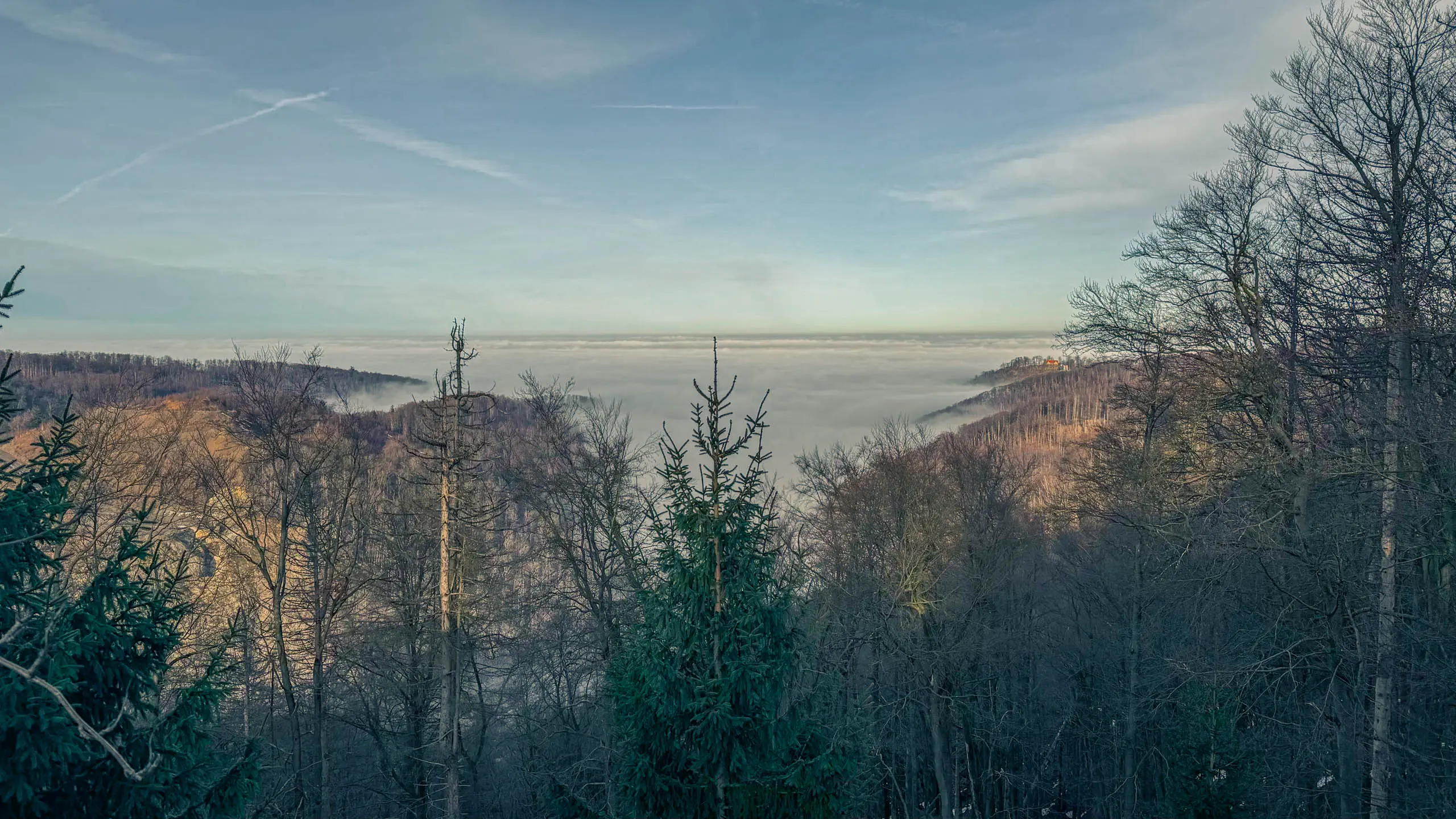 20260117.Harz.Bad.Harzburg.und.Umgebung.Bild.53