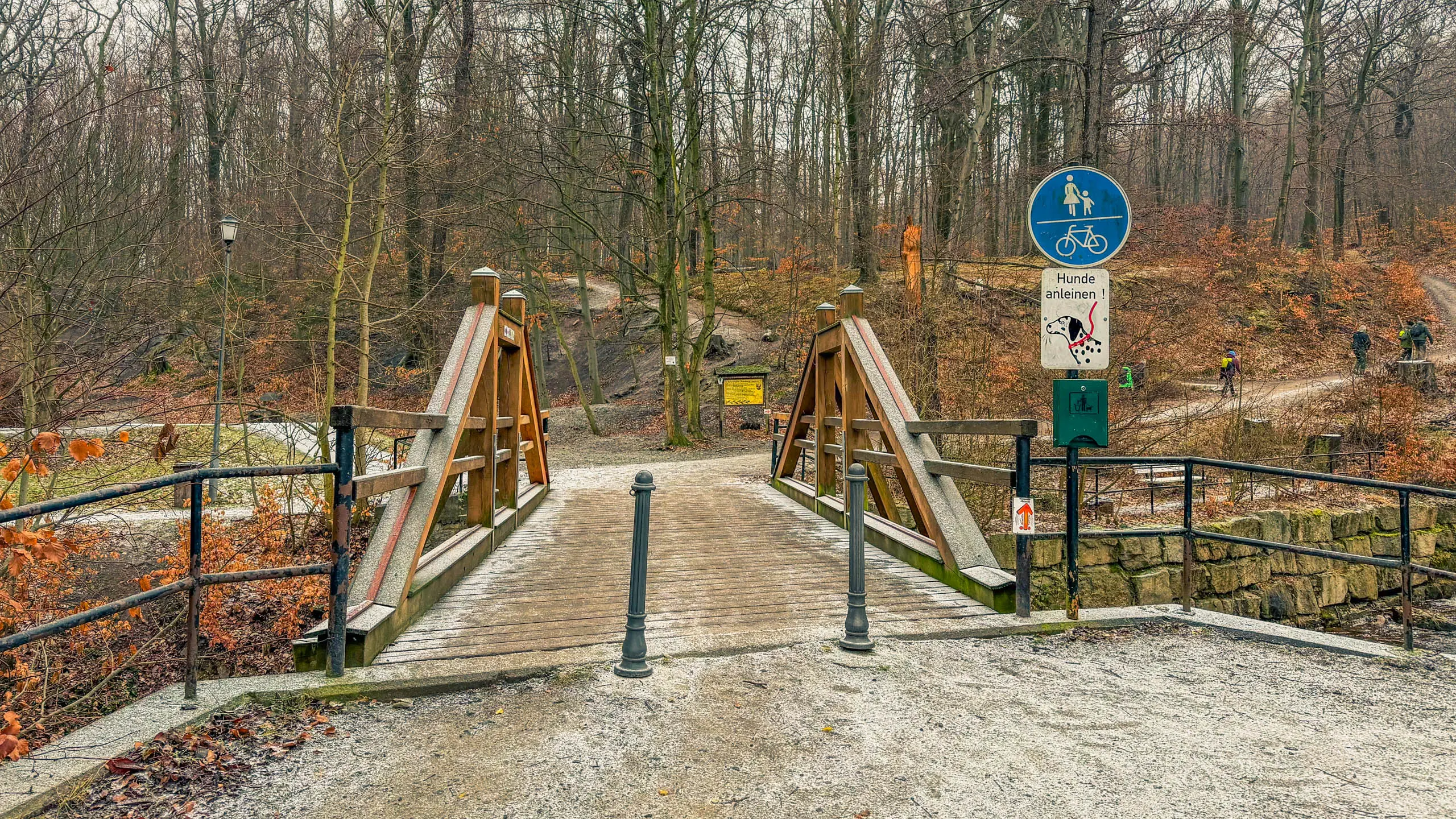 20260214.EMTI.Harzmarsch.20Km.Ilsenburg.Bild.17