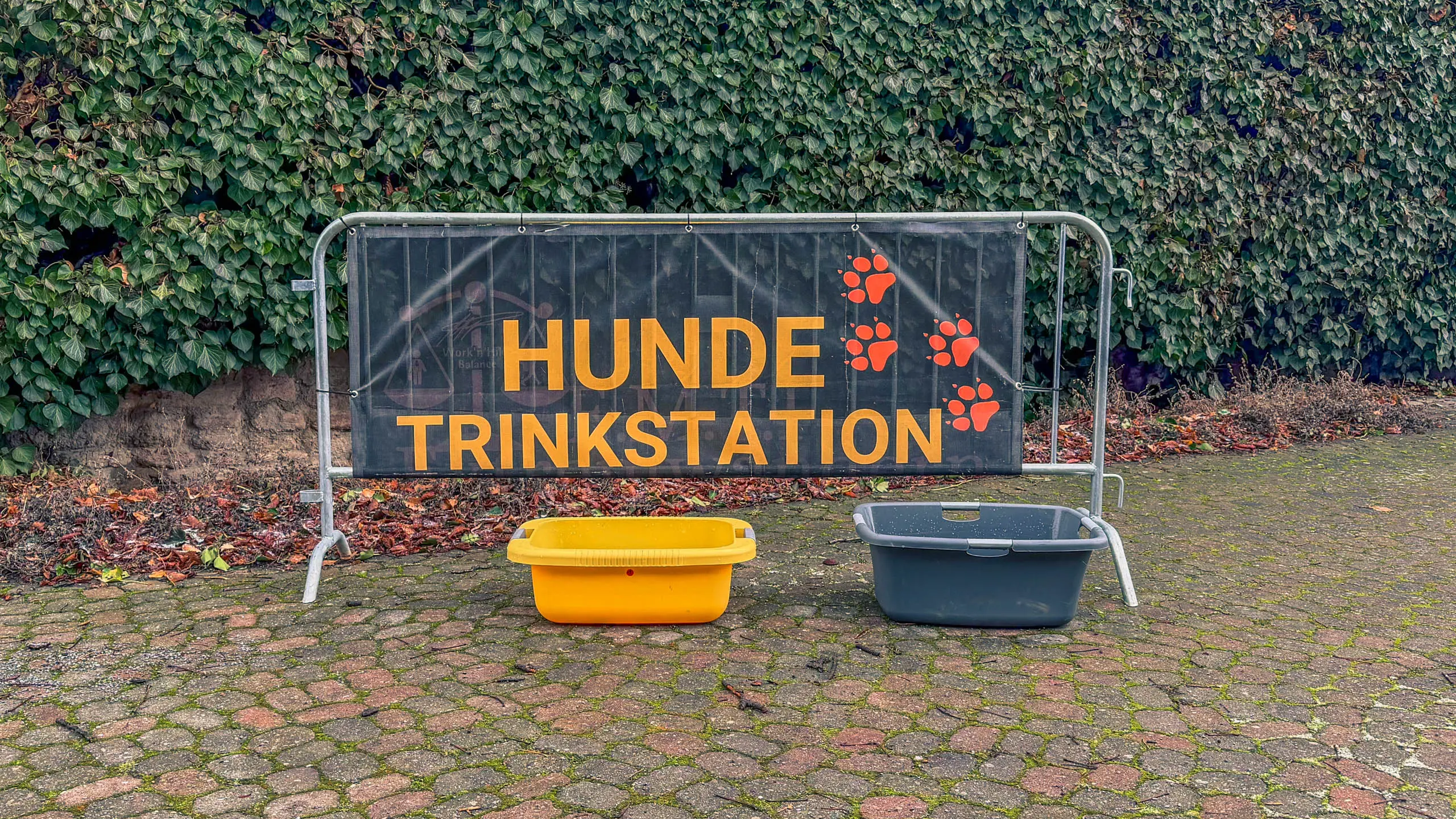 20260214.EMTI.Harzmarsch.20Km.Ilsenburg.Bild.59