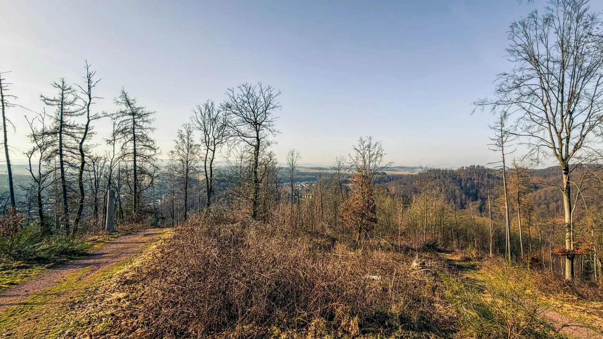 20260307.Harz.Bad.Lauterberg.und.Umgebung.Bild.12