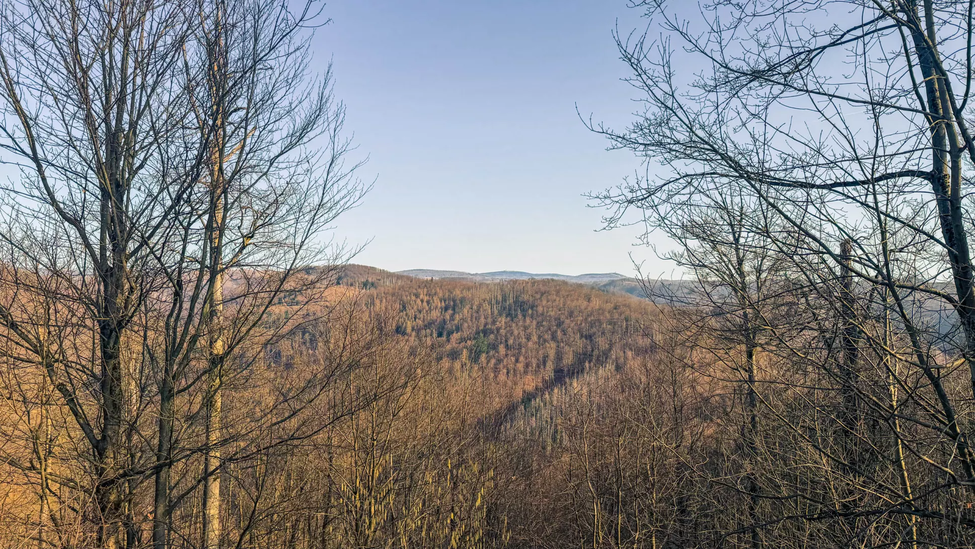 20260307.Harz.Bad.Lauterberg.und.Umgebung.Bild.15
