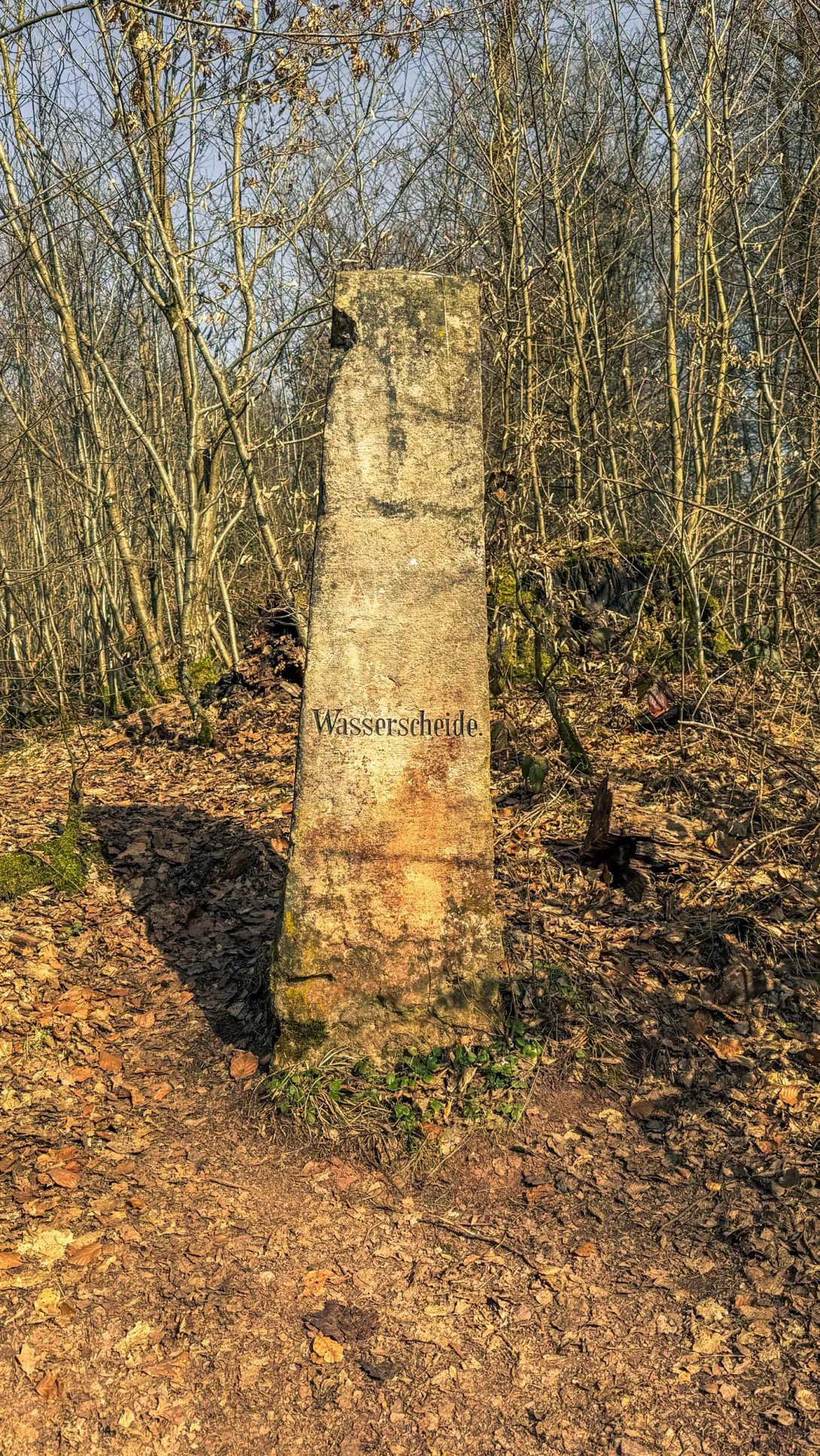 20260307.Harz.Bad.Lauterberg.und.Umgebung.Bild.27