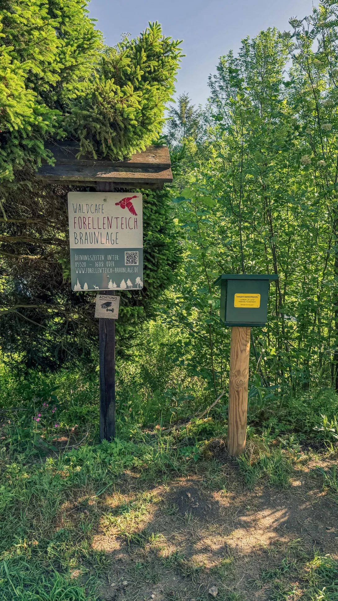 20260530.Harz.Braunlage.und.Umgebung.Bild.04