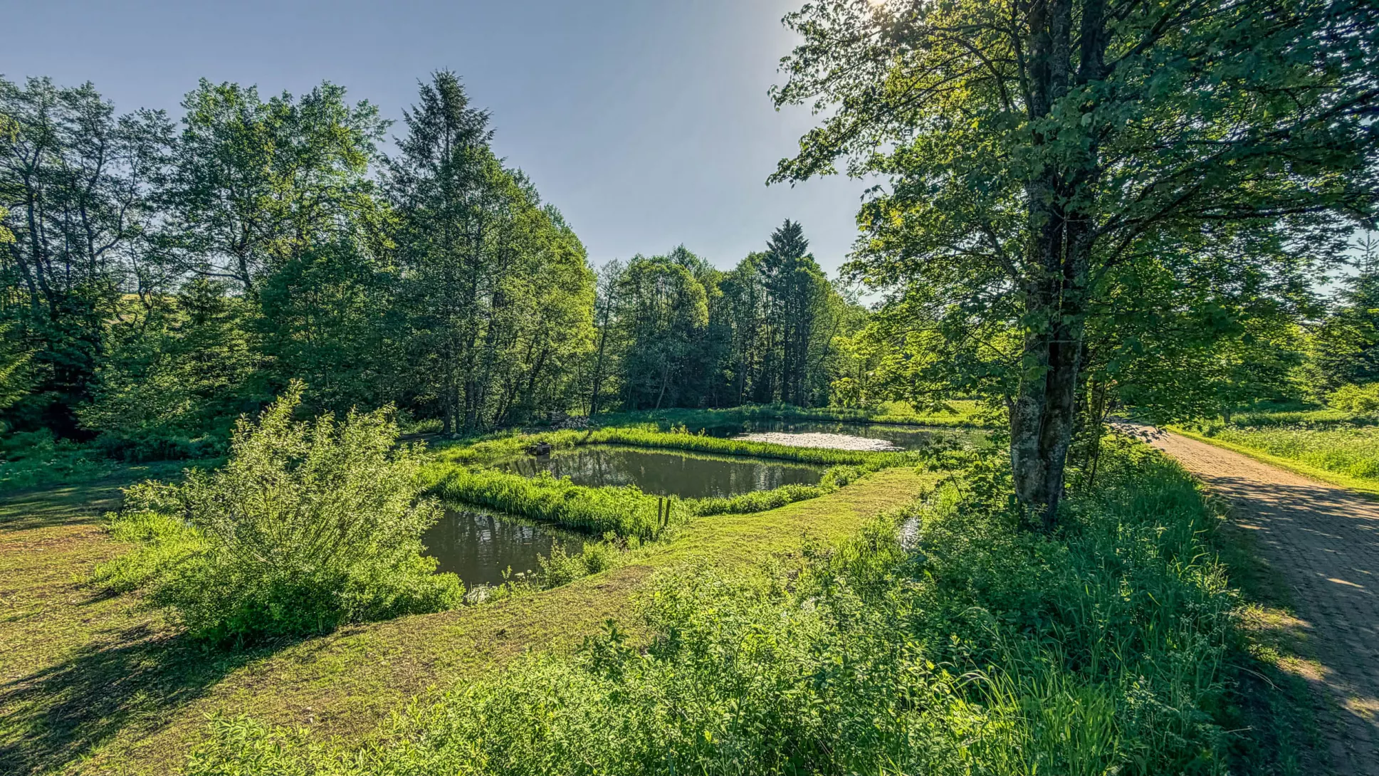 20260530.Harz.Braunlage.und.Umgebung.Bild.06