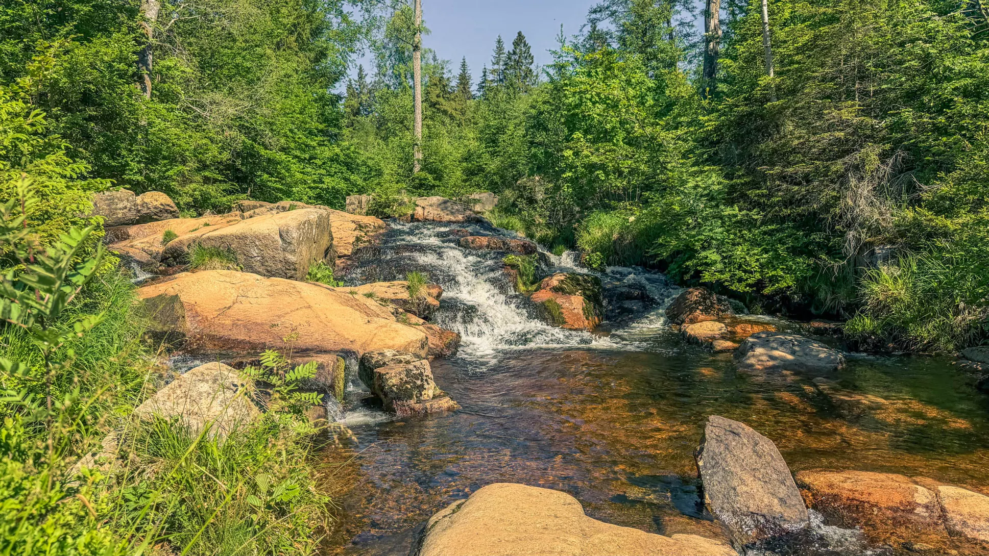 20260530.Harz.Braunlage.und.Umgebung.Bild.17
