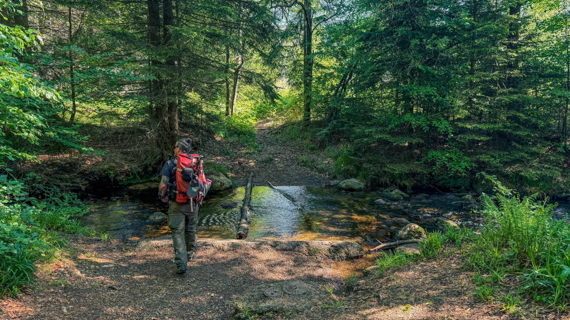 20260530.Harz.Braunlage.und.Umgebung.Bild.22