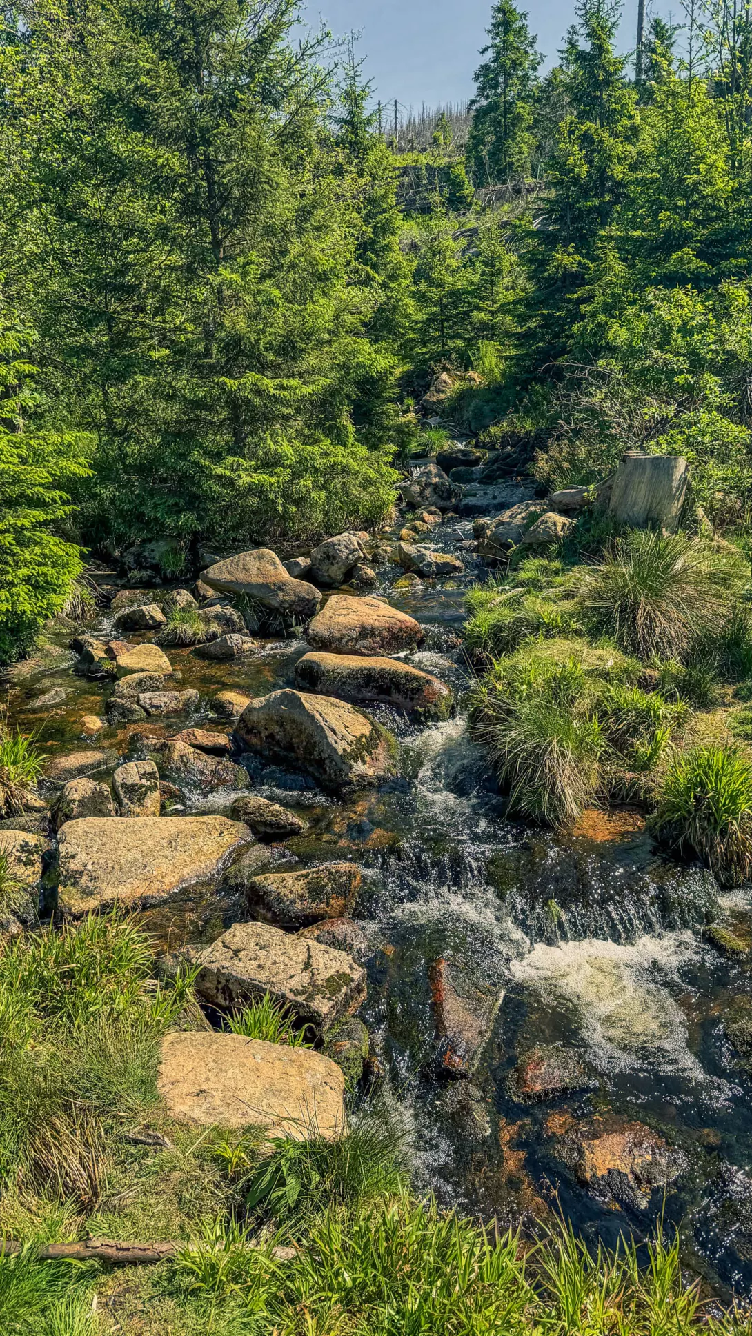 20260530.Harz.Braunlage.und.Umgebung.Bild.27