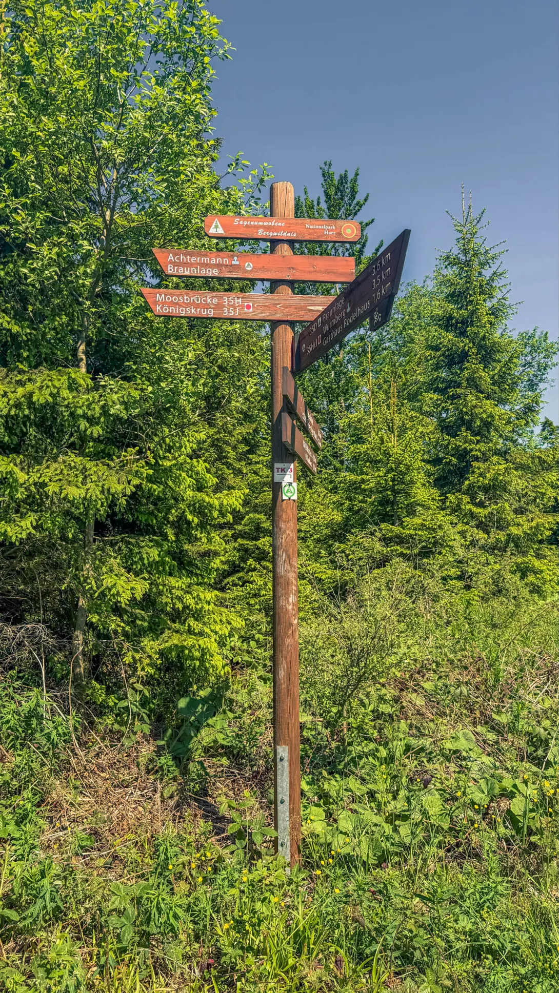 20260530.Harz.Braunlage.und.Umgebung.Bild.30
