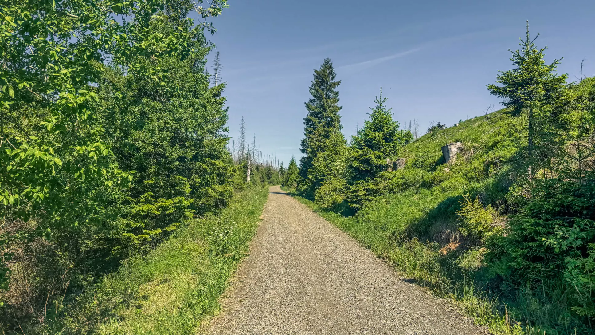 20260530.Harz.Braunlage.und.Umgebung.Bild.31