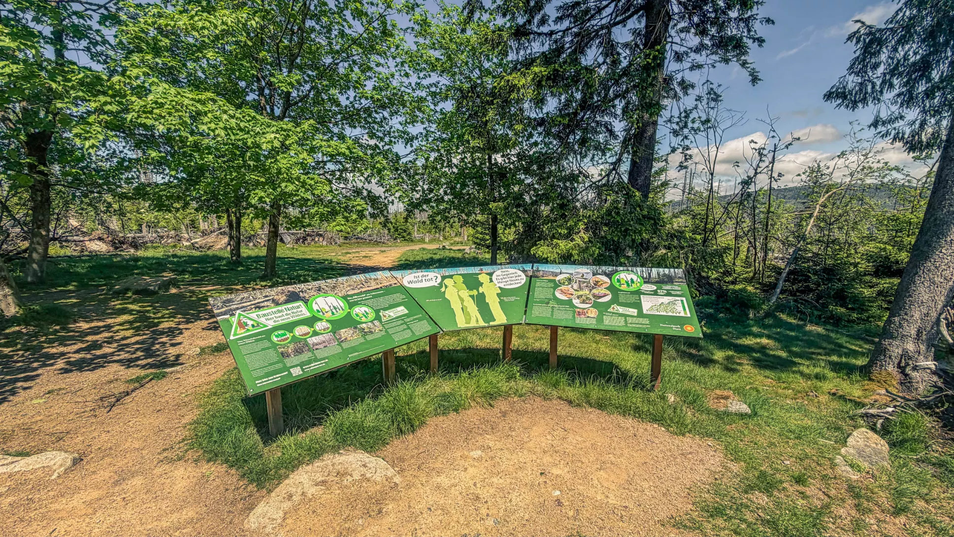 20260530.Harz.Braunlage.und.Umgebung.Bild.33