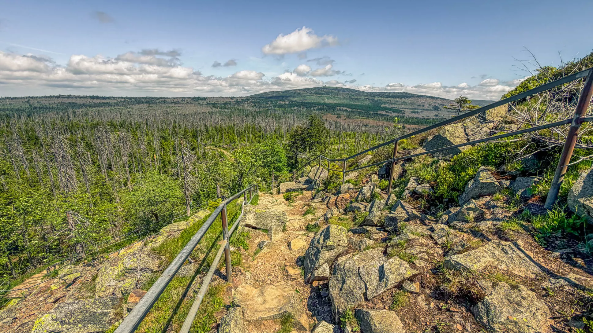 20260530.Harz.Braunlage.und.Umgebung.Bild.37