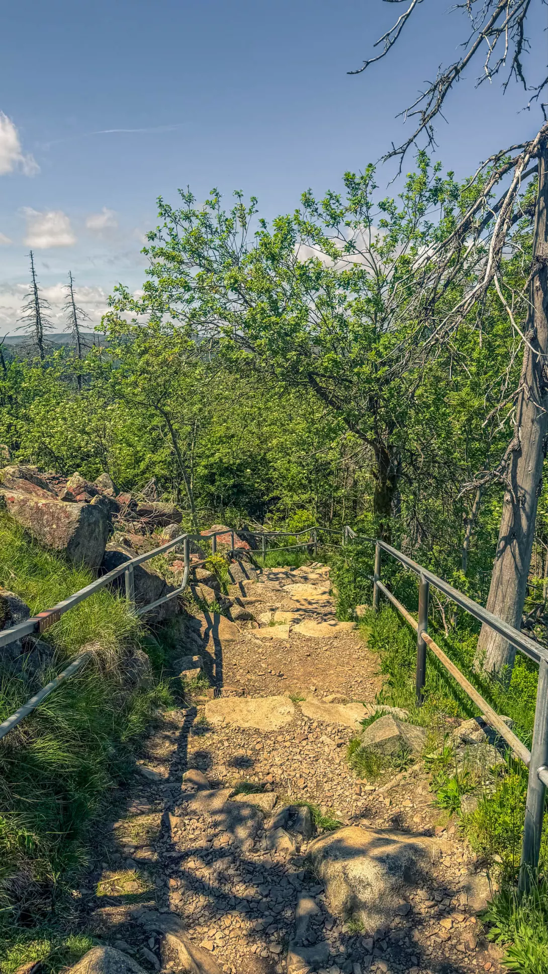 20260530.Harz.Braunlage.und.Umgebung.Bild.38