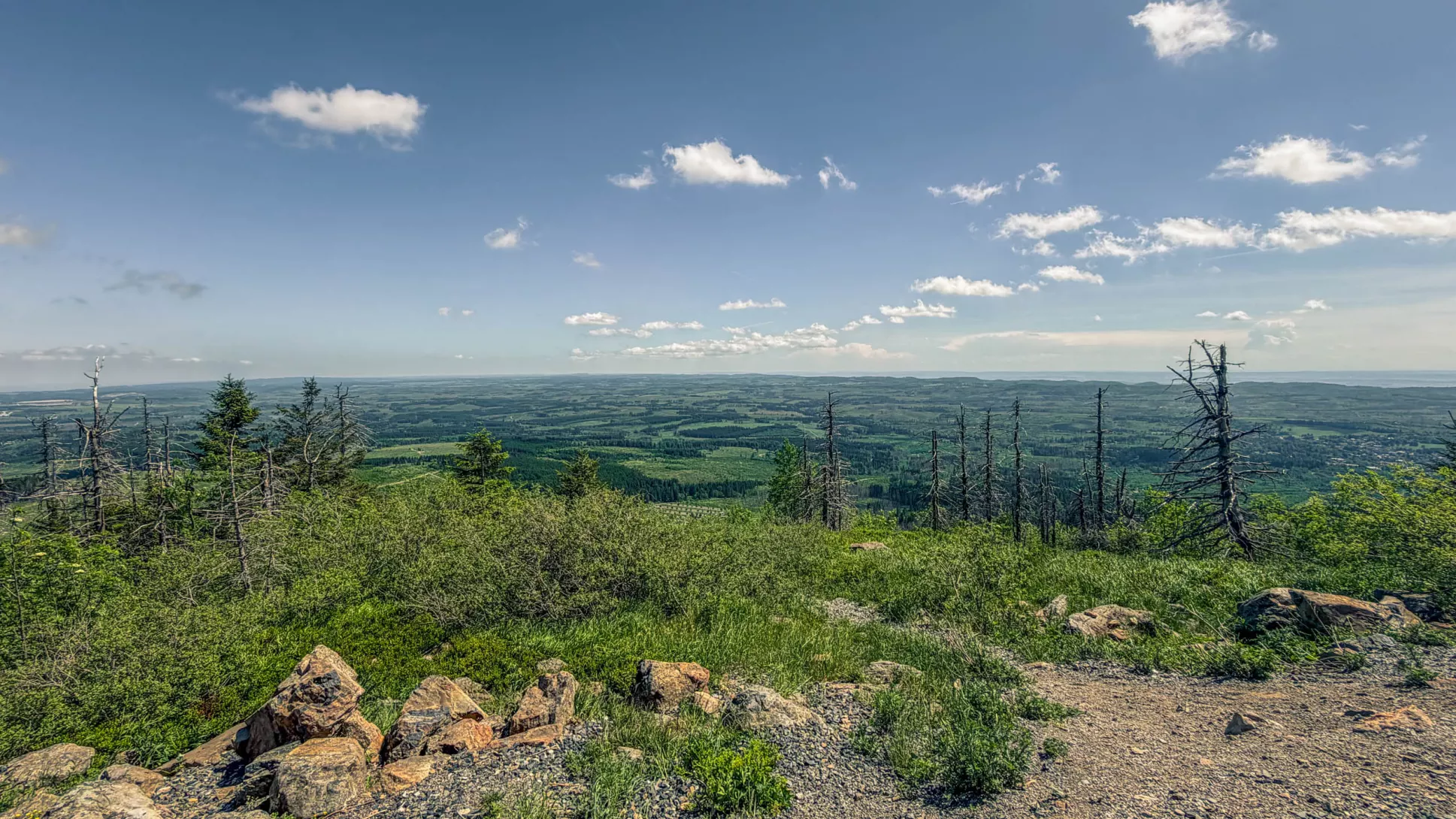 20260530.Harz.Braunlage.und.Umgebung.Bild.47