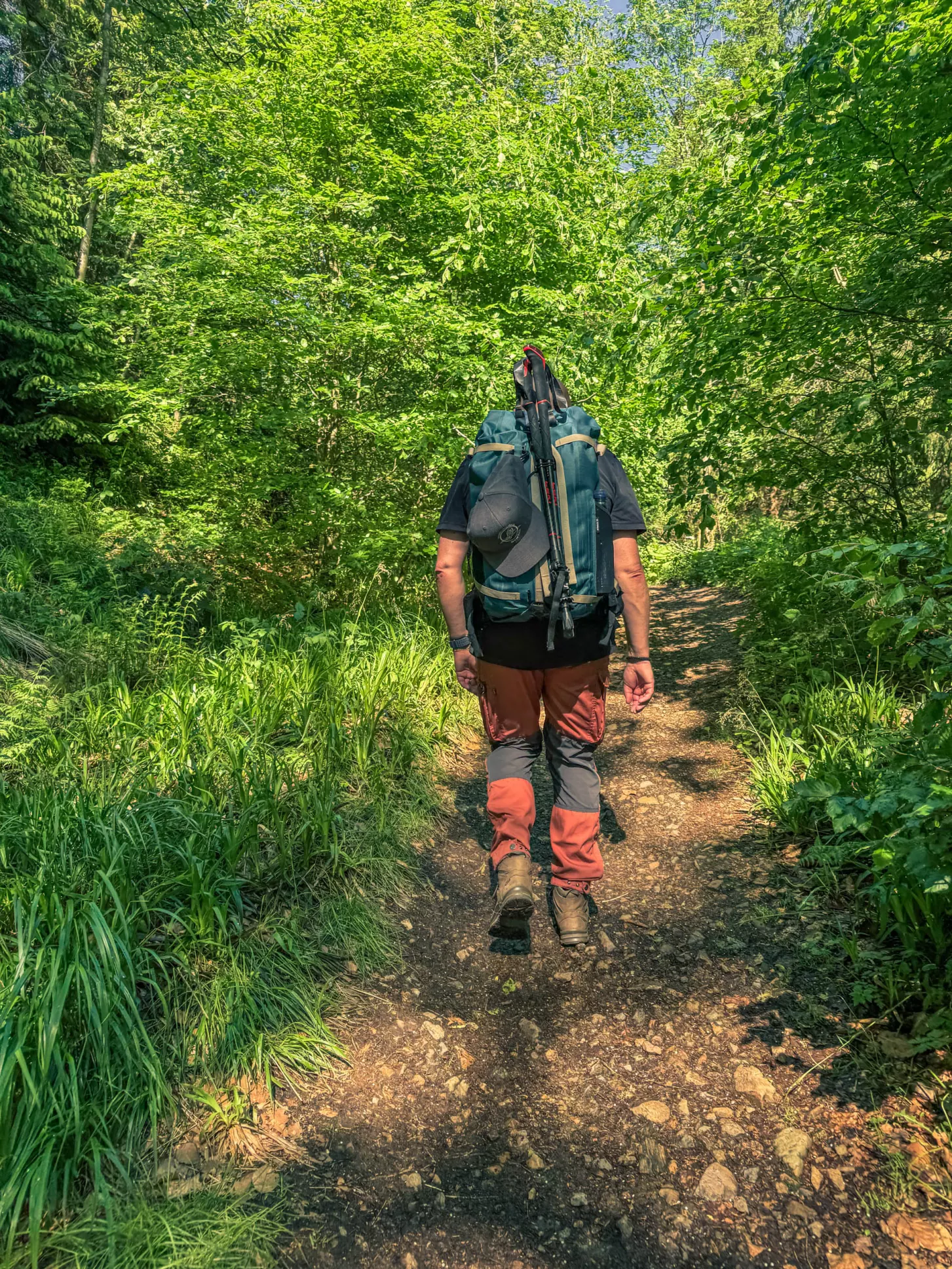 20260530.Harz.Braunlage.und.Umgebung.Bild.58