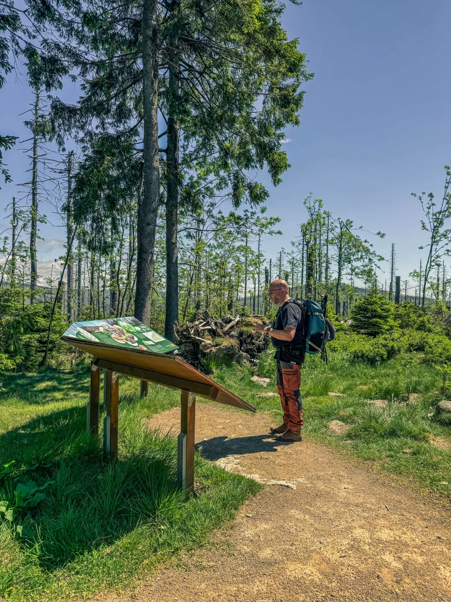 20260530.Harz.Braunlage.und.Umgebung.Bild.59