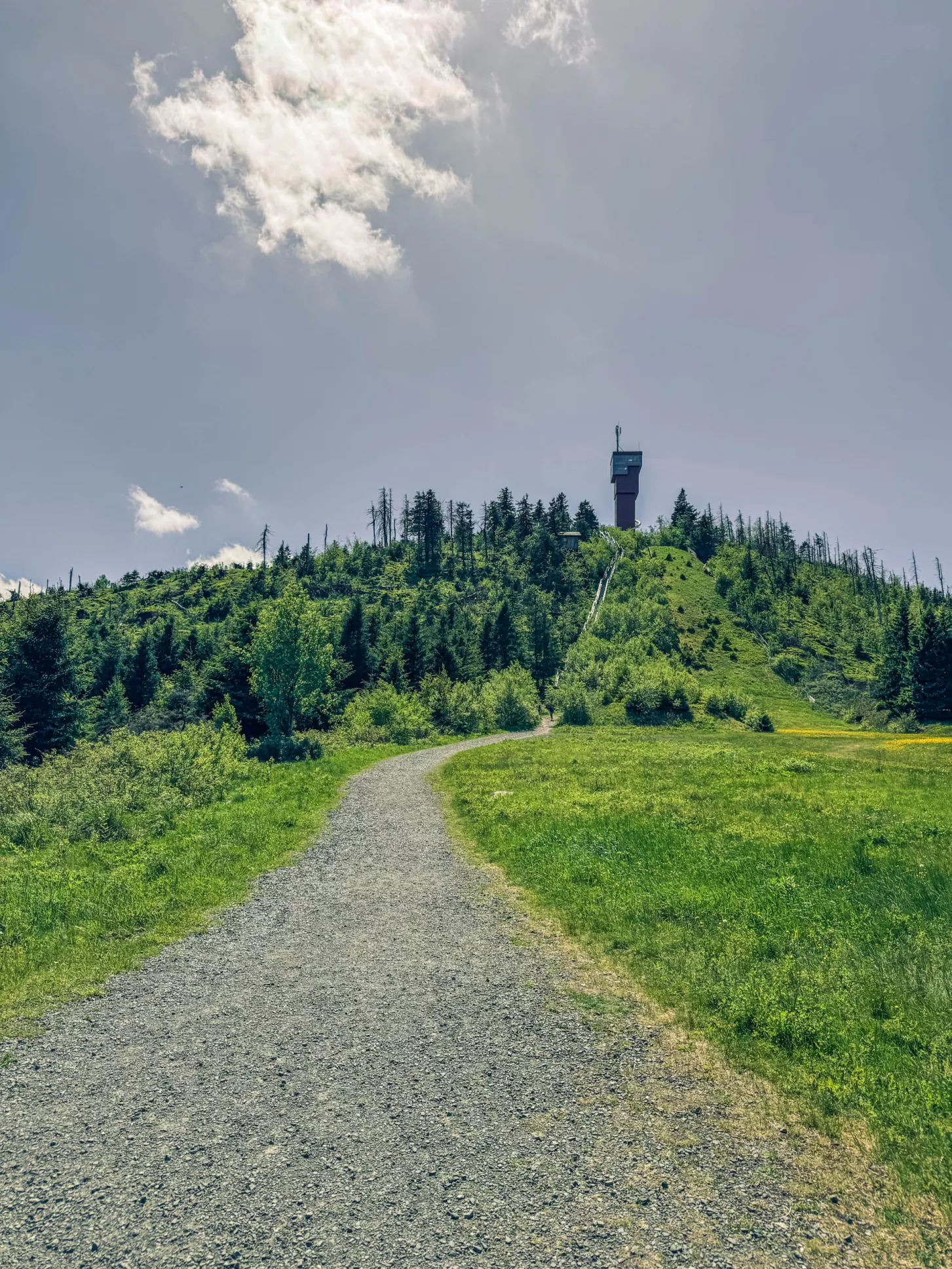 20260530.Harz.Braunlage.und.Umgebung.Bild.67