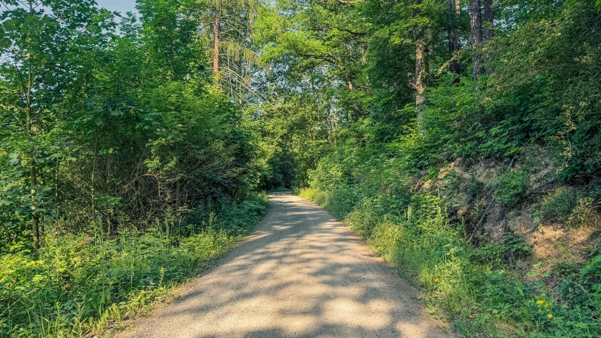 20260627.Harz.Wernigerode.und.Umgebung.Bild.15