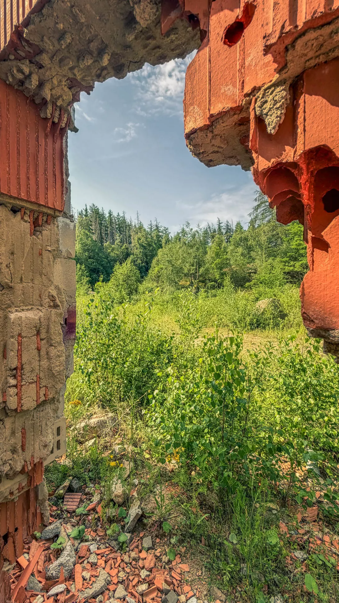 20260627.Harz.Wernigerode.und.Umgebung.Bild.27
