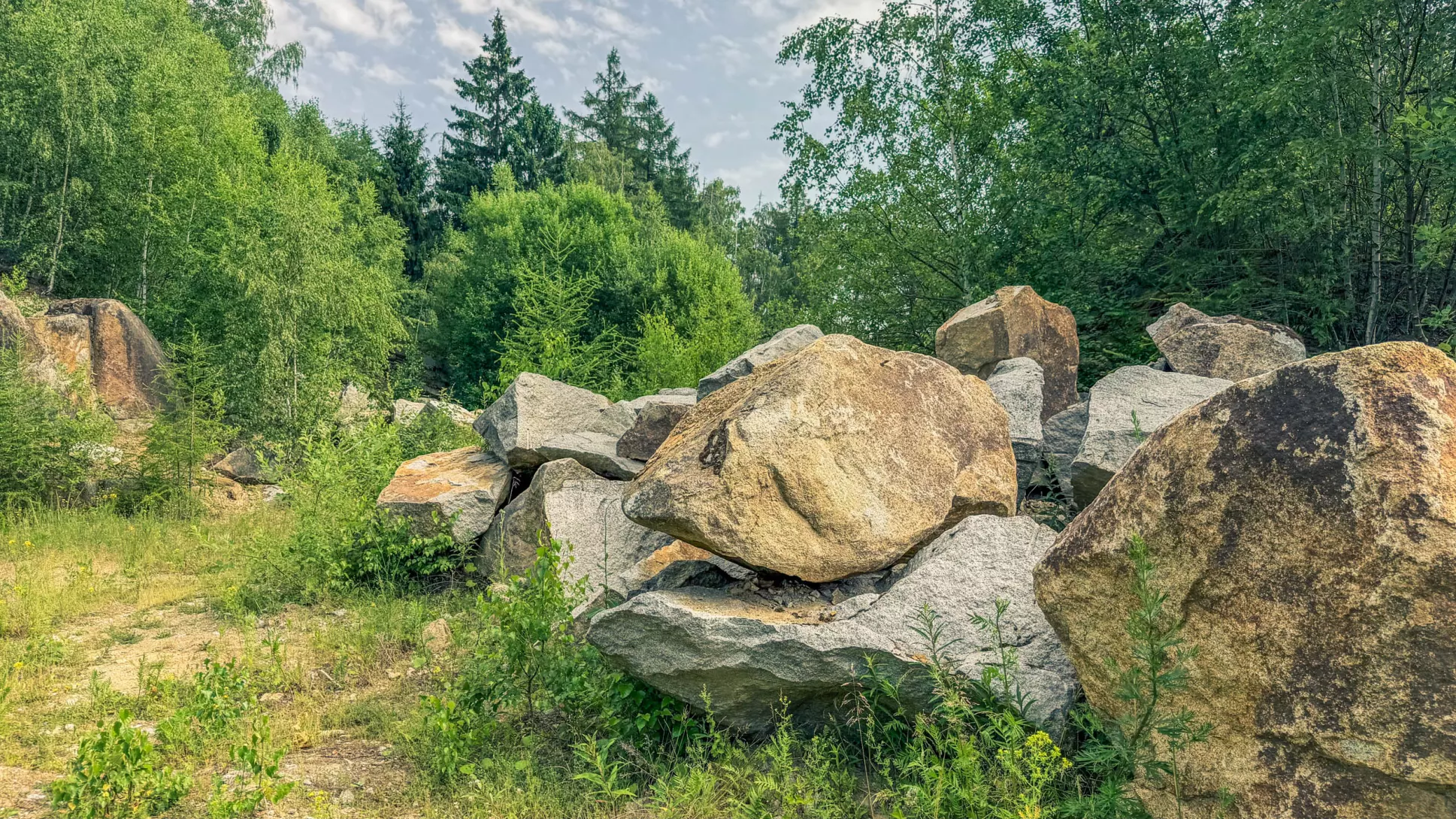 20260627.Harz.Wernigerode.und.Umgebung.Bild.29