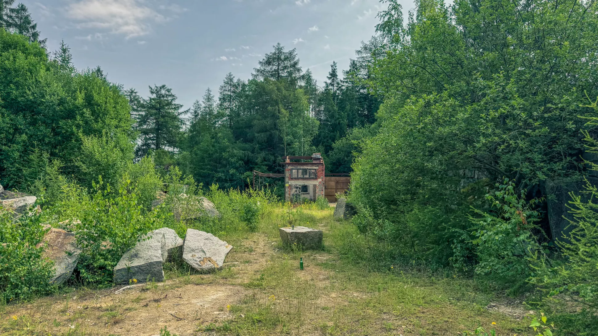 20260627.Harz.Wernigerode.und.Umgebung.Bild.30