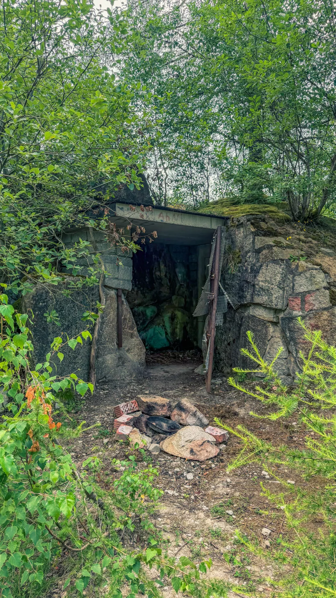 20260627.Harz.Wernigerode.und.Umgebung.Bild.31