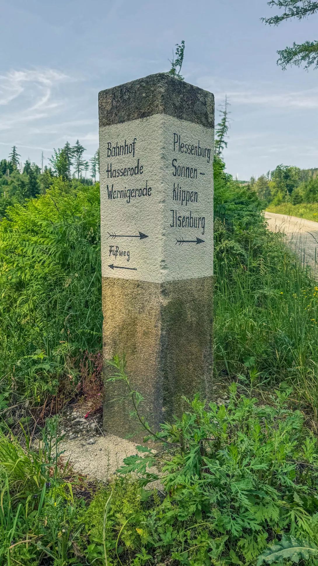 20260627.Harz.Wernigerode.und.Umgebung.Bild.34
