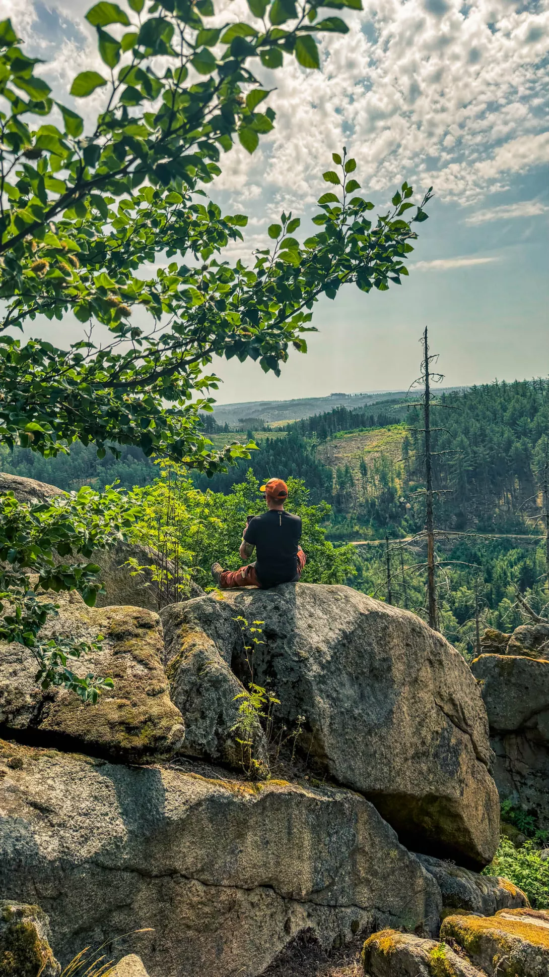 20260627.Harz.Wernigerode.und.Umgebung.Bild.42
