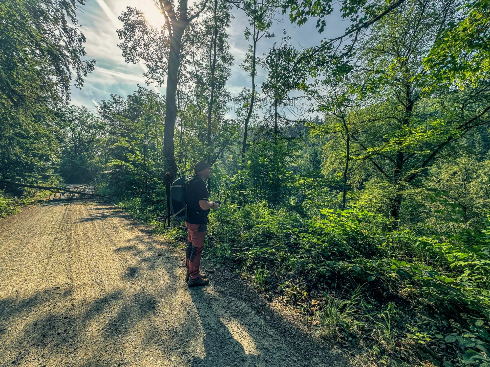 20260627.Harz.Wernigerode.und.Umgebung.Bild.56