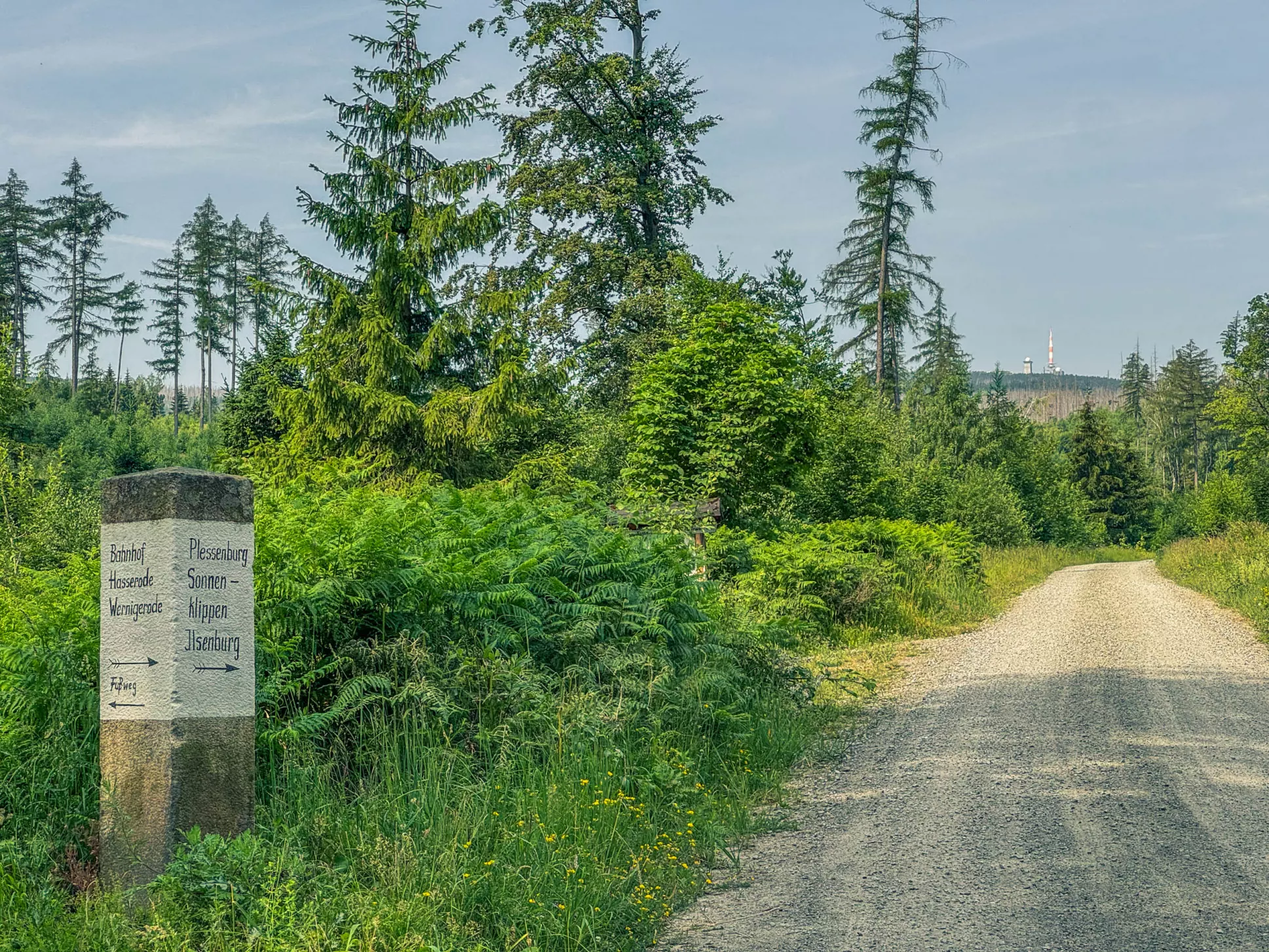 20260627.Harz.Wernigerode.und.Umgebung.Bild.62