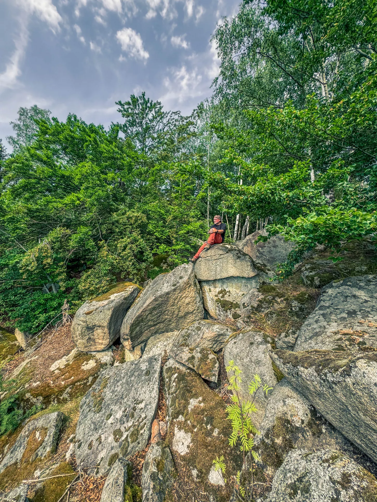 20260627.Harz.Wernigerode.und.Umgebung.Bild.67
