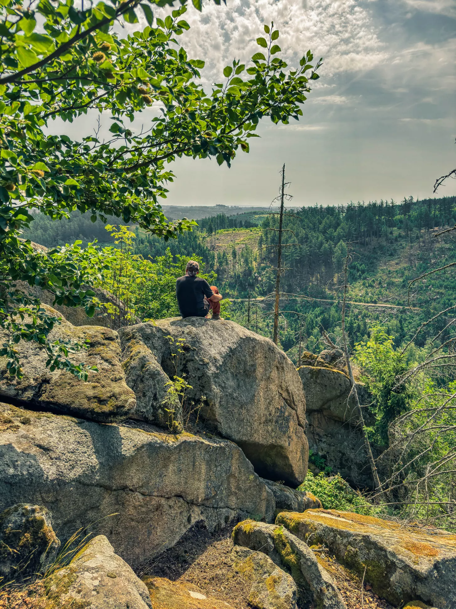 20260627.Harz.Wernigerode.und.Umgebung.Bild.68