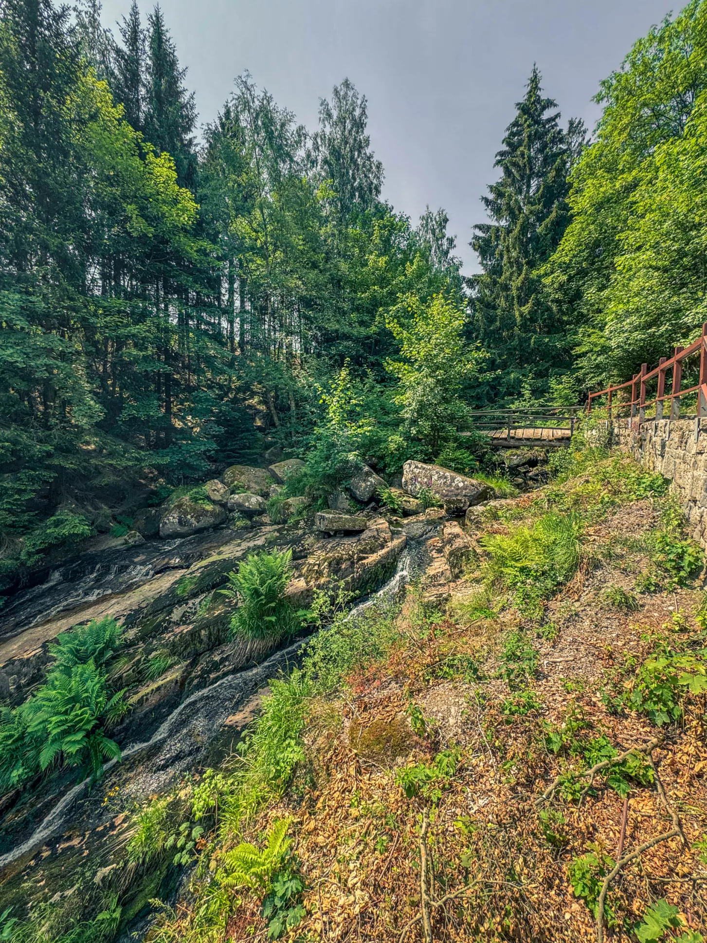 20260627.Harz.Wernigerode.und.Umgebung.Bild.70