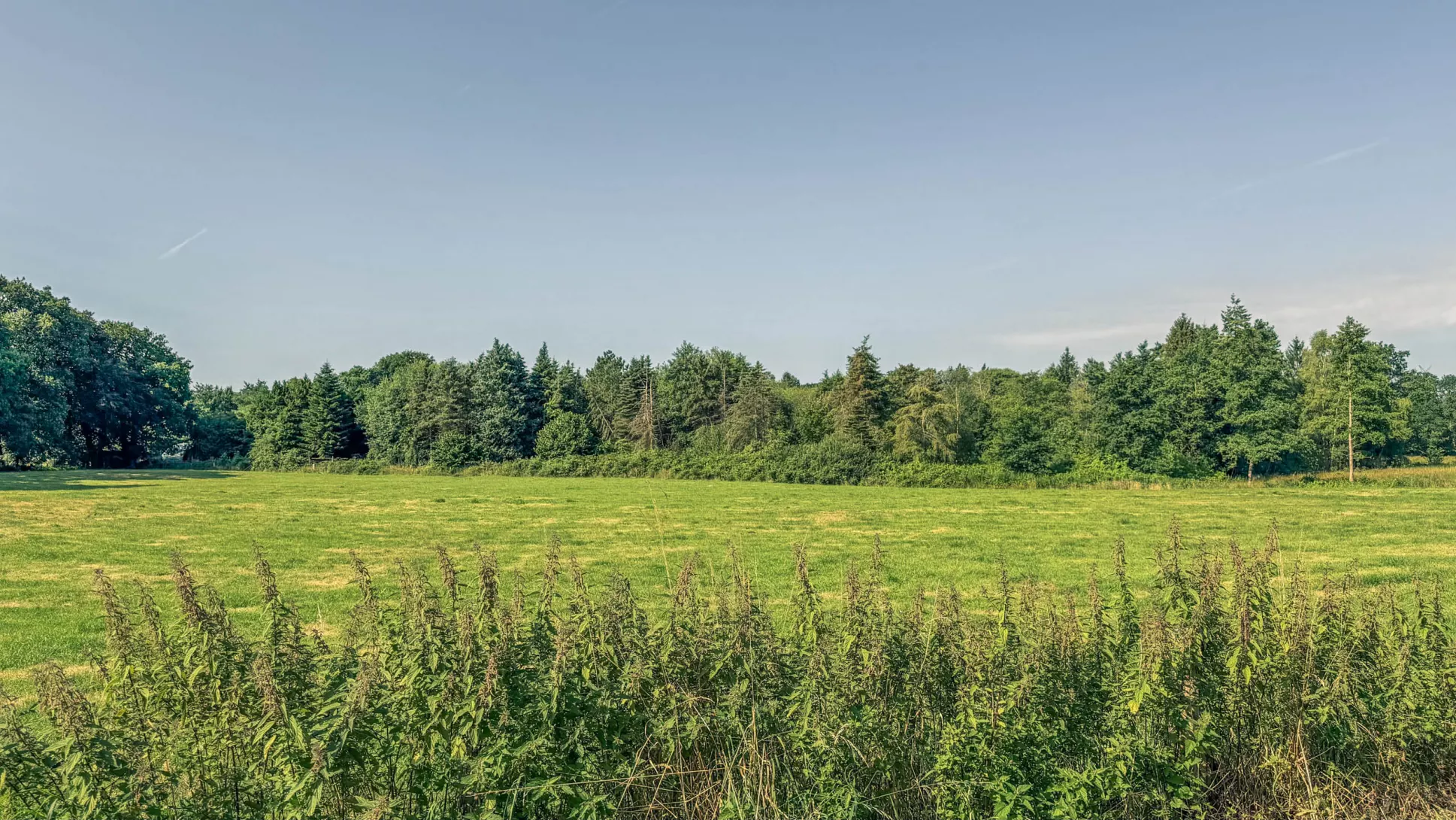 20260725.Zwischen.Marsch.und.Geest.Bild.08