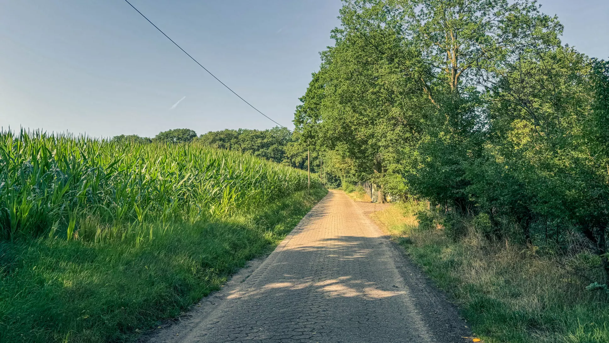 20260725.Zwischen.Marsch.und.Geest.Bild.09