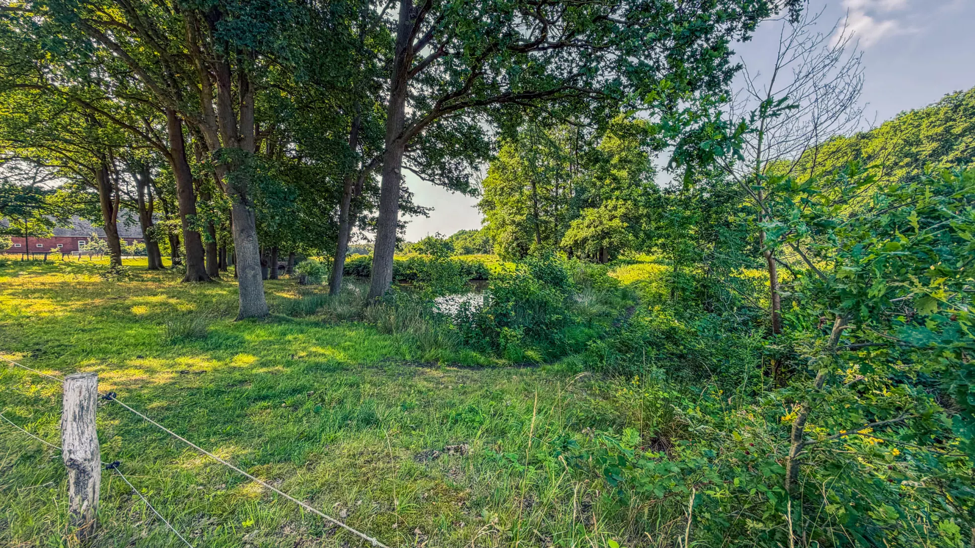 20260725.Zwischen.Marsch.und.Geest.Bild.13