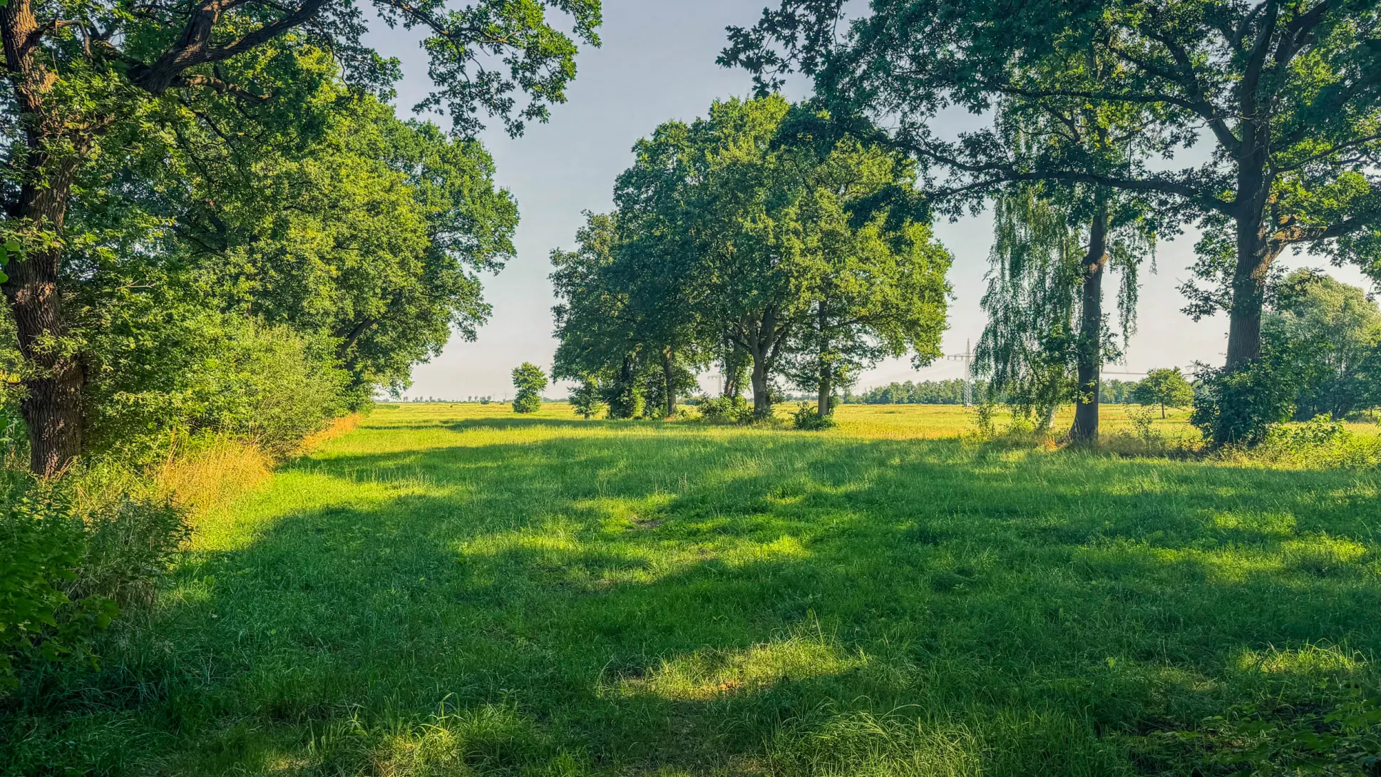 20260725.Zwischen.Marsch.und.Geest.Bild.17