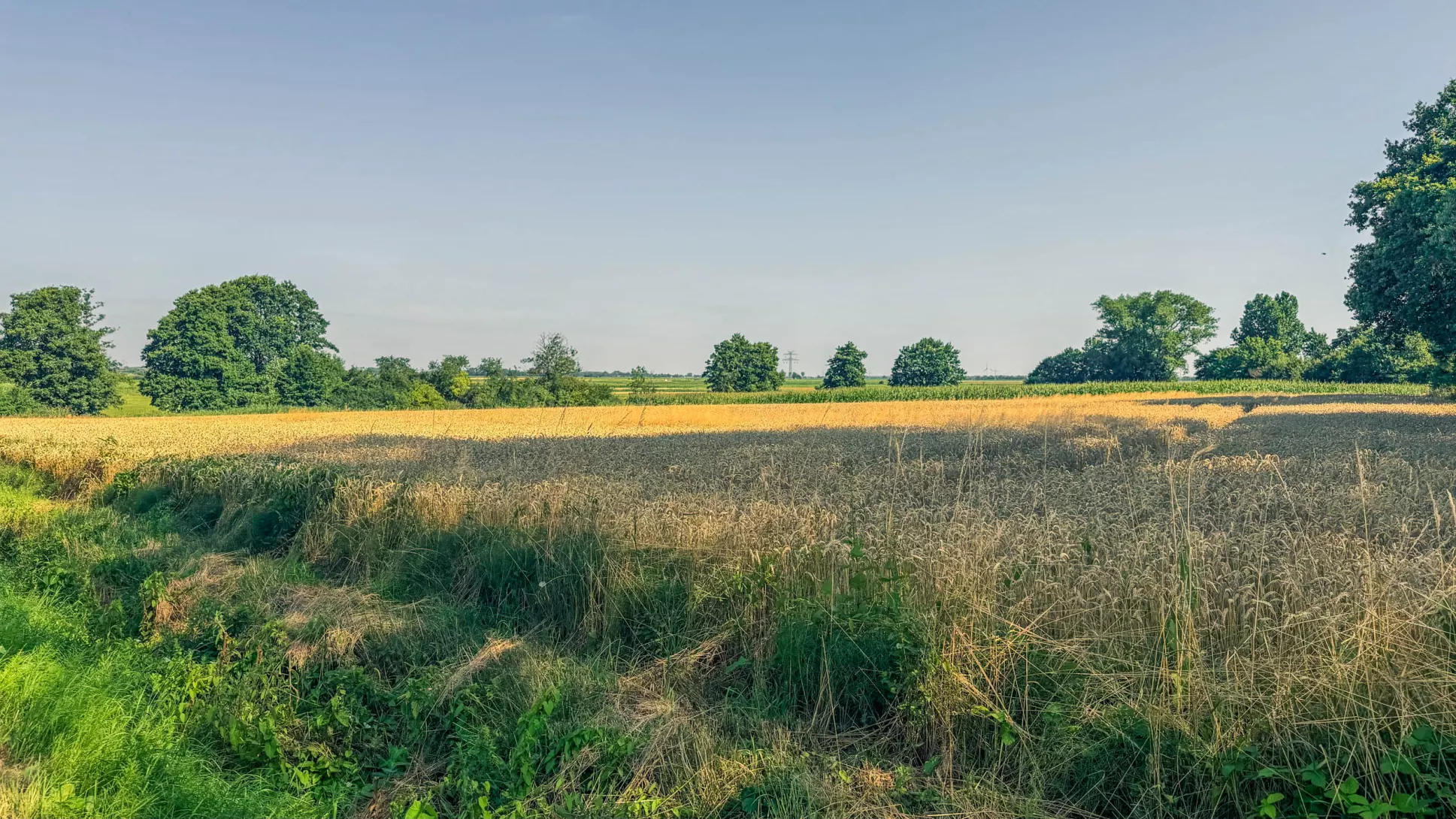 20260725.Zwischen.Marsch.und.Geest.Bild.22