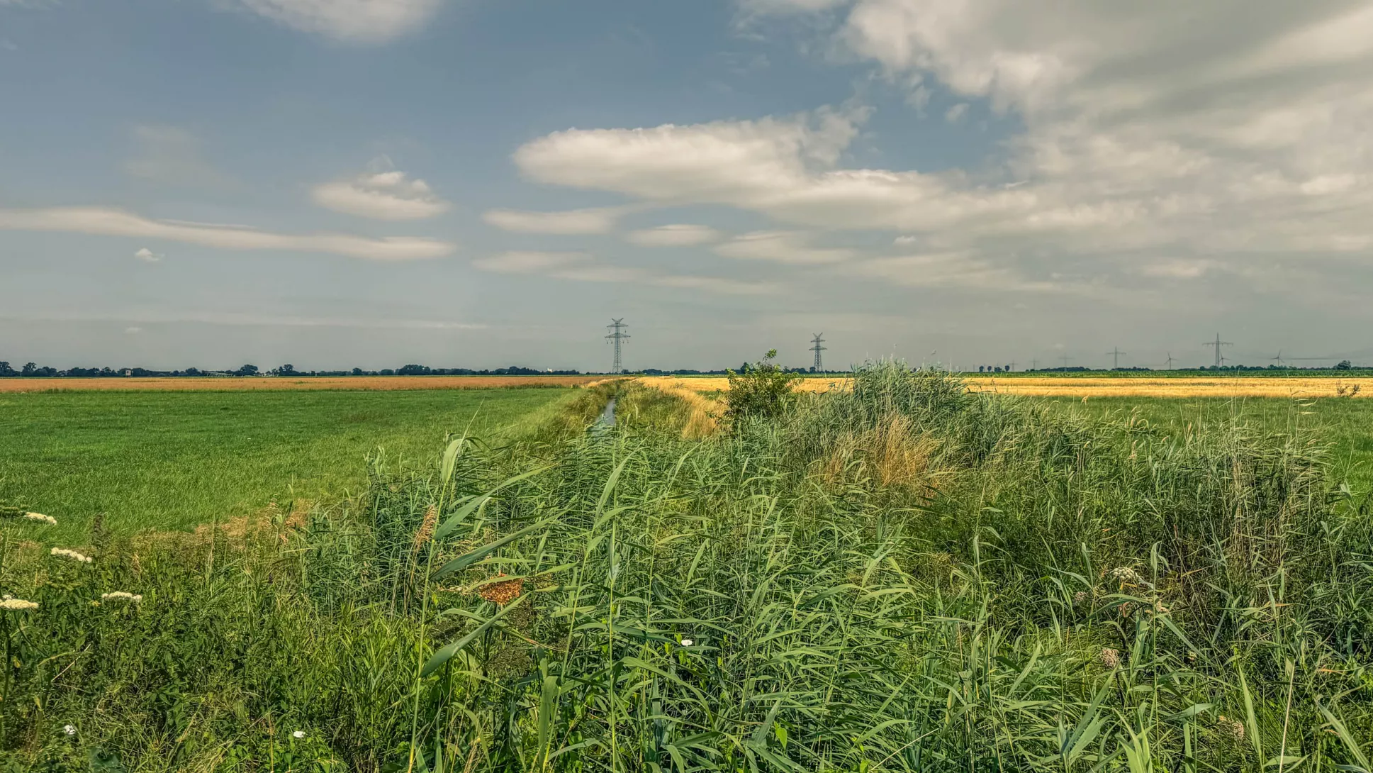20260725.Zwischen.Marsch.und.Geest.Bild.27