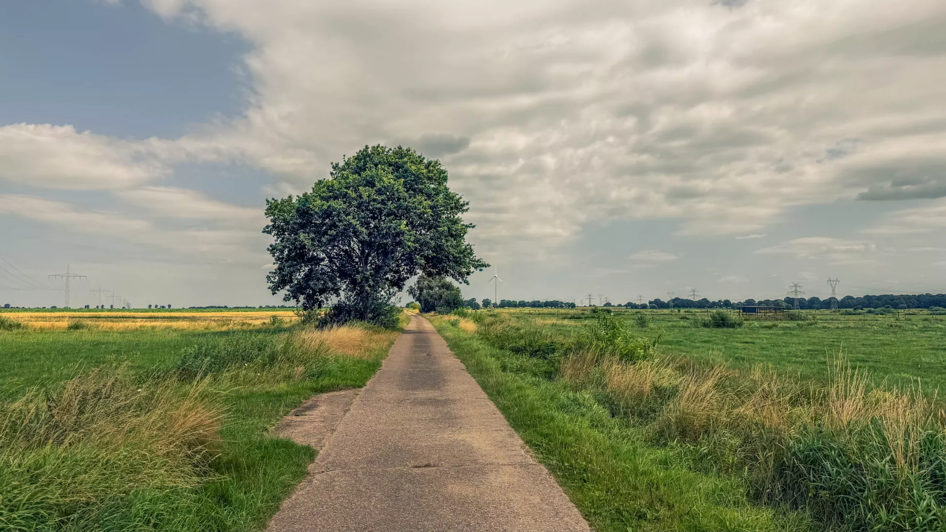 20260725.Zwischen.Marsch.und.Geest.Bild.28