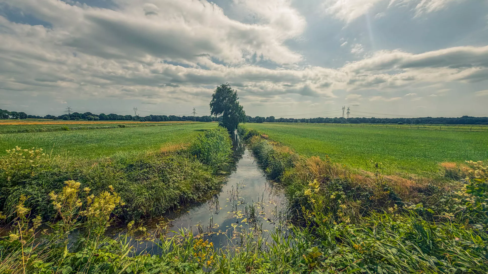 20260725.Zwischen.Marsch.und.Geest.Bild.29
