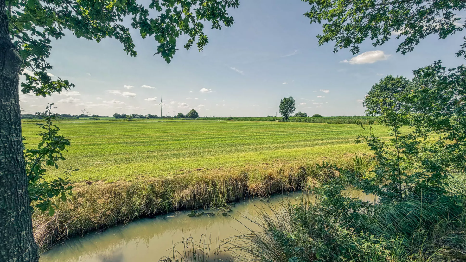 20260725.Zwischen.Marsch.und.Geest.Bild.33