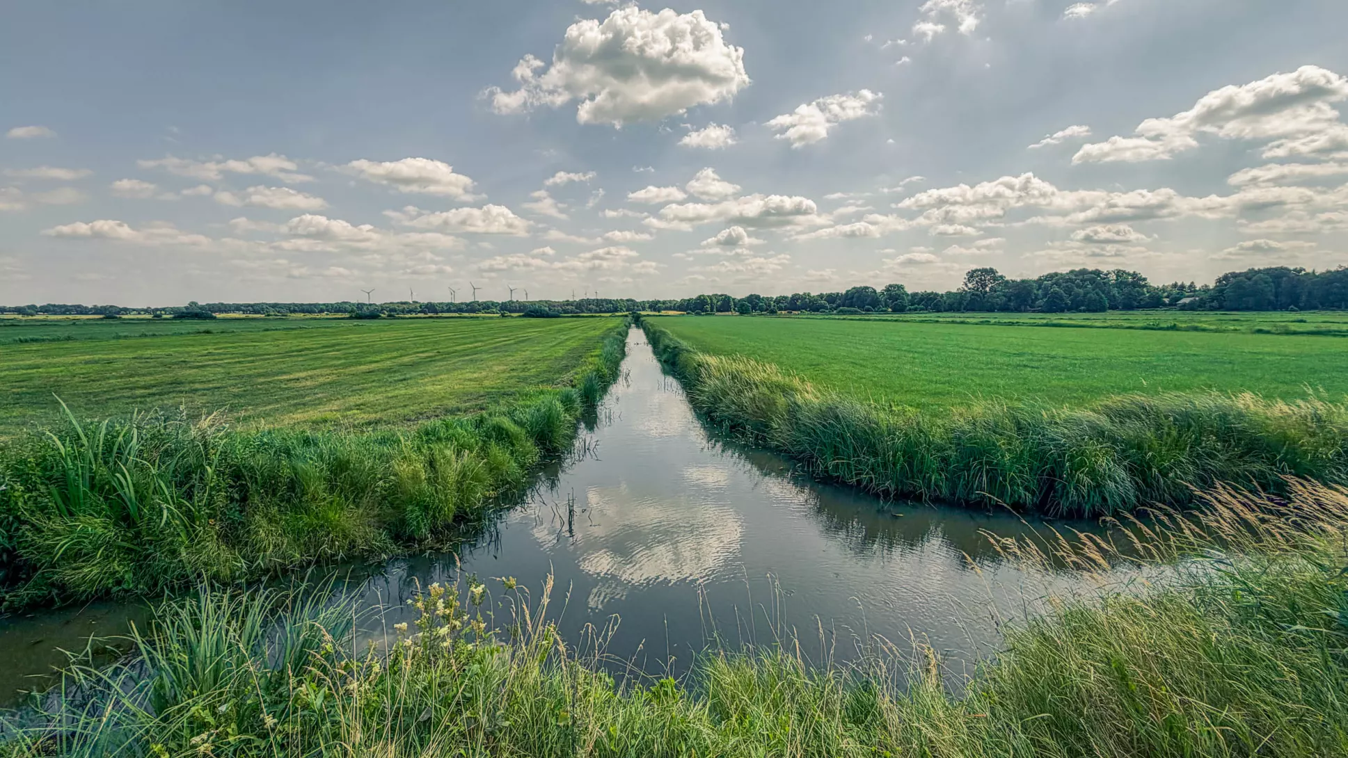 20260725.Zwischen.Marsch.und.Geest.Bild.37