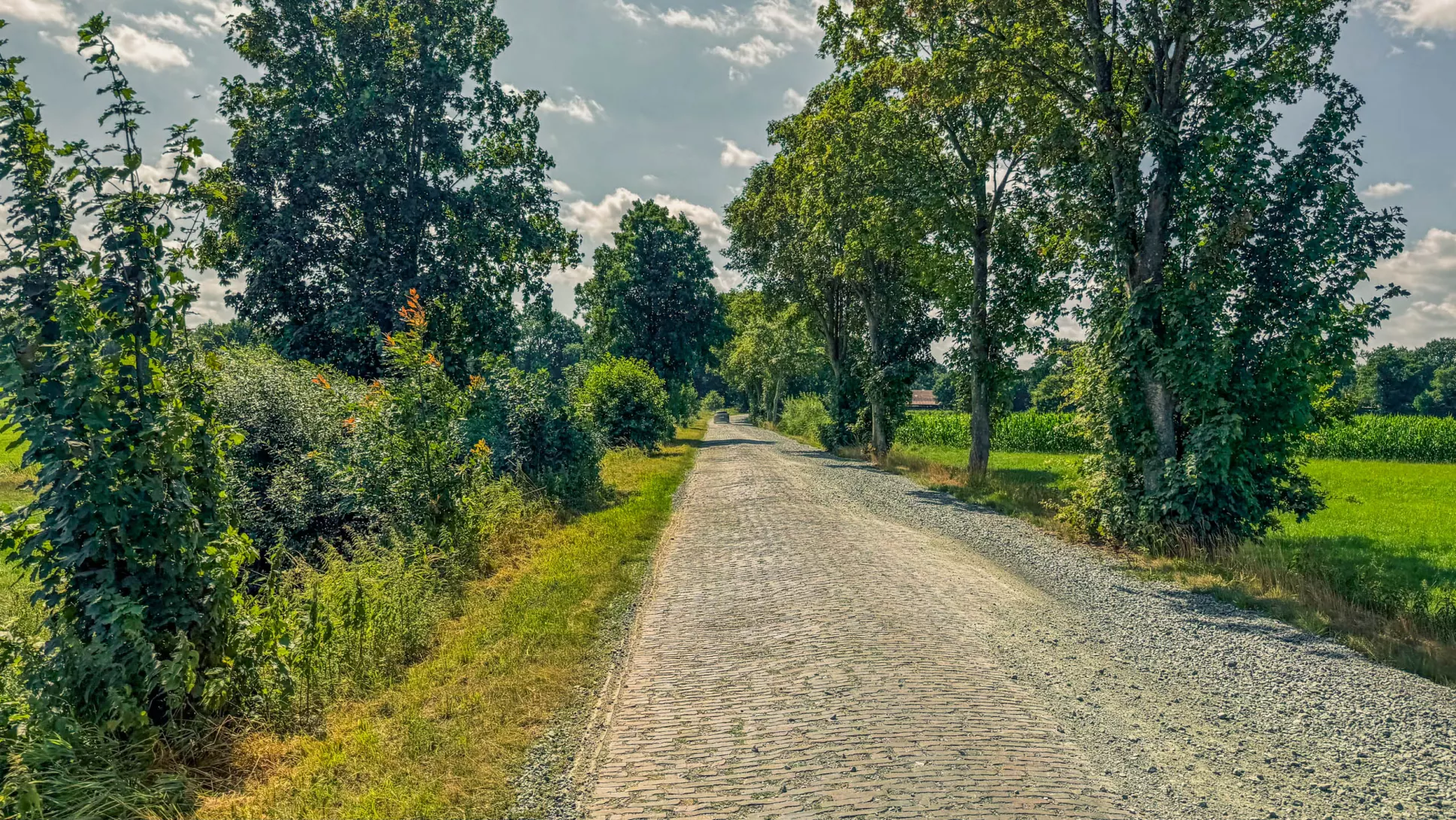 20260725.Zwischen.Marsch.und.Geest.Bild.38