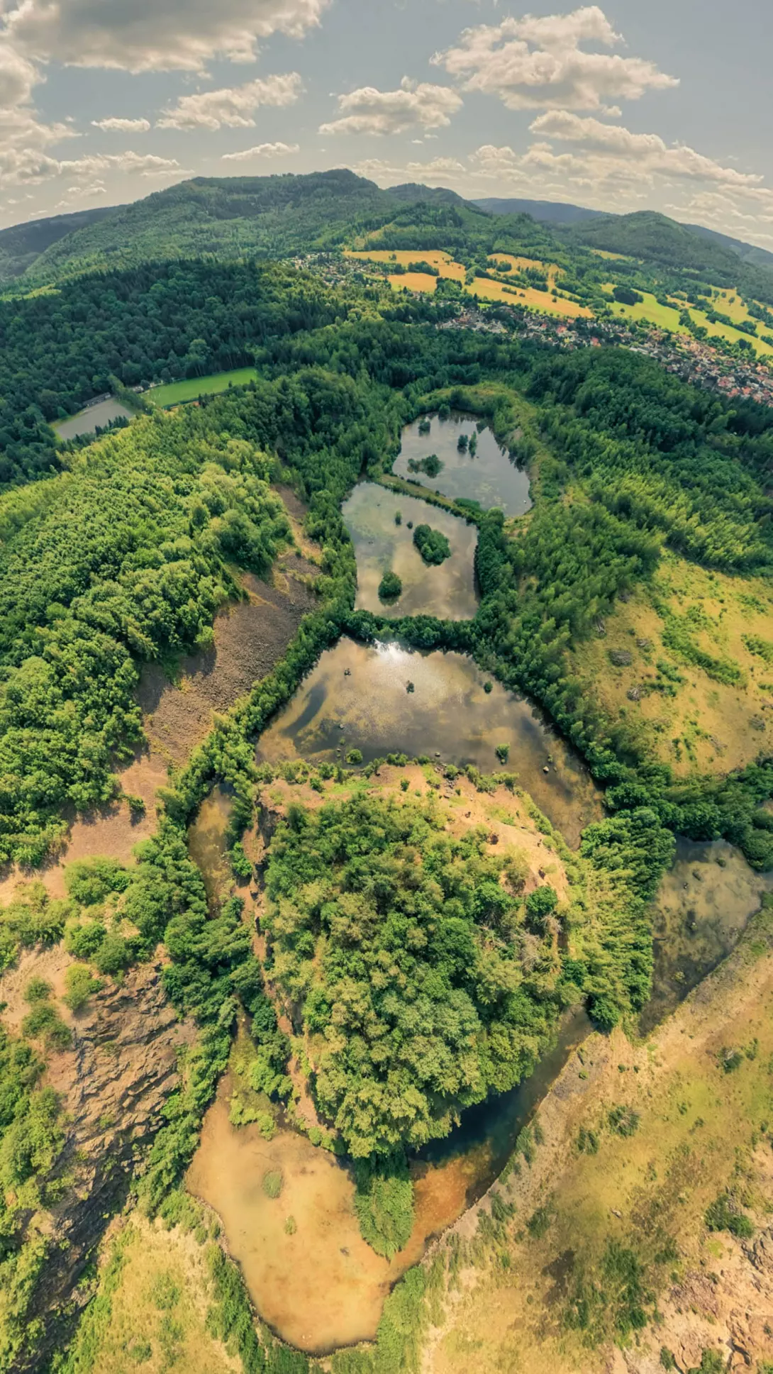 20260801.Harz.Oderbrück.und.Umgebung.Bild.02