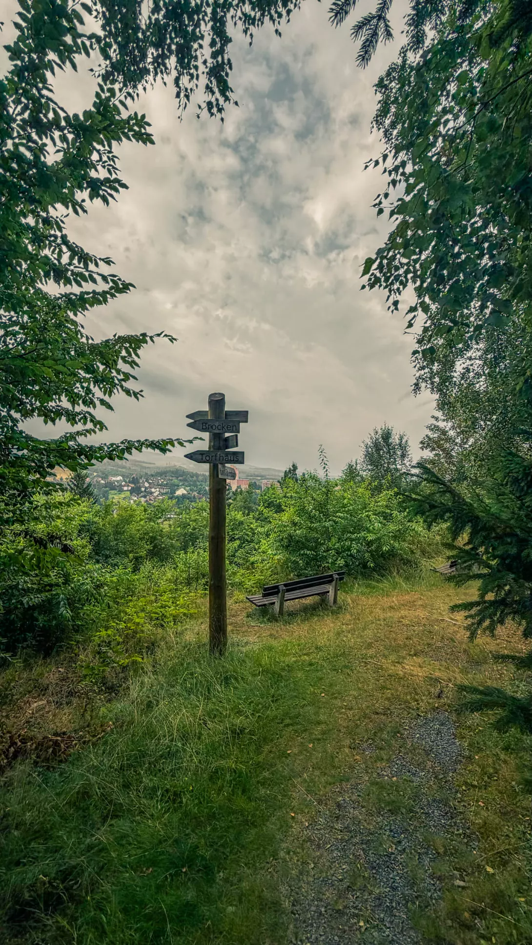 20260801.Harz.Oderbrück.und.Umgebung.Bild.07